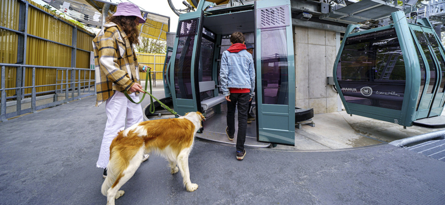 Las vacaciones más perrunas, en Valonia 